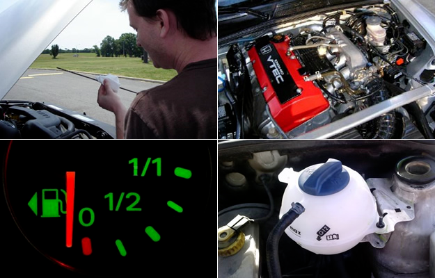 <span style="font-weight: bold;">Revision de Niveles</span>